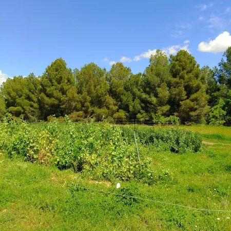 Apartment With Private Pool And Garden San Martin Sarroca